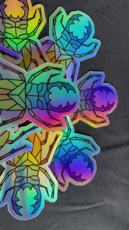 Holo Beetles