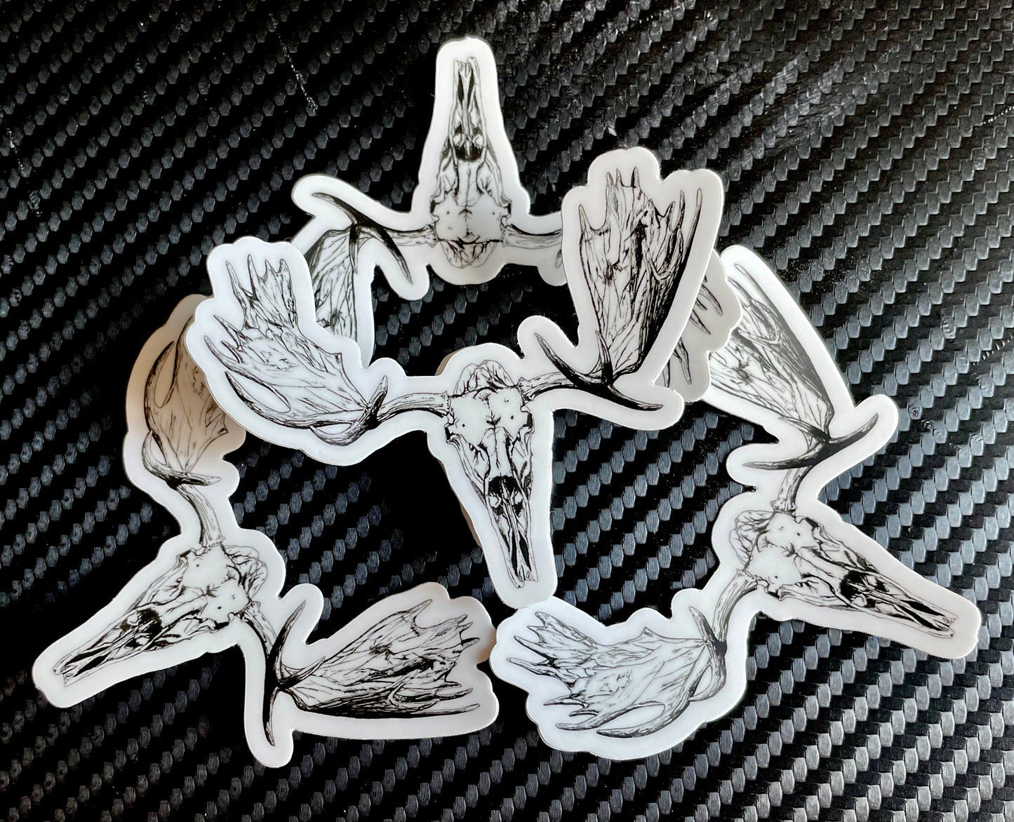 Moose Skull Sticker