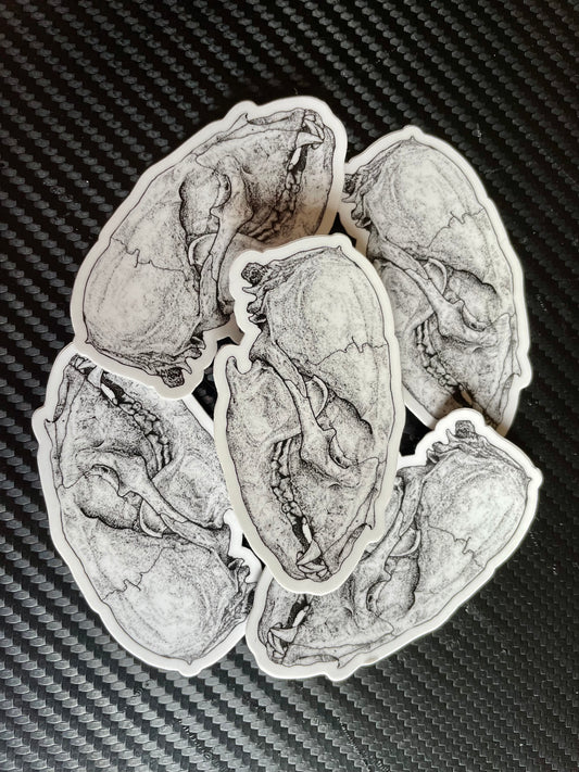 Bear Skull Sticker