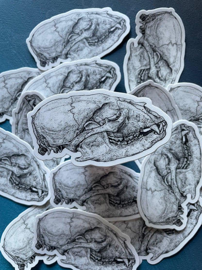 Bear Skull Sticker