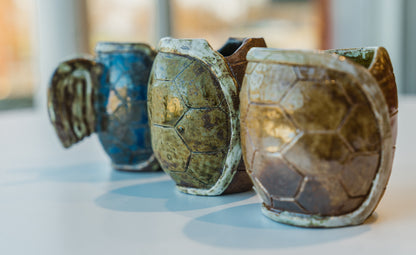 Turtle Cup