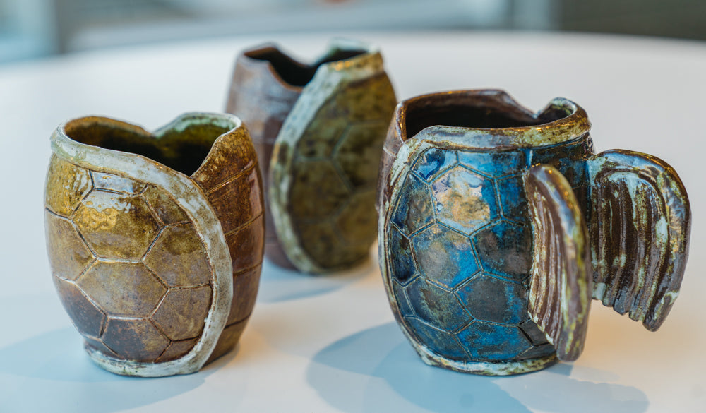 Turtle Cup